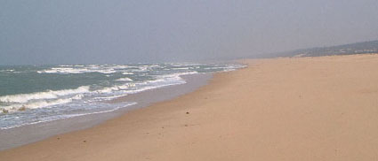 View up the beach