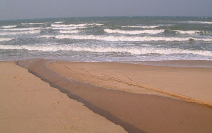 zhixian brook flows across the beach