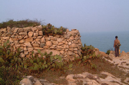 Japanese cairn