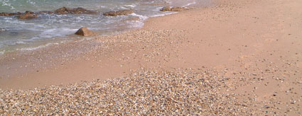 Pebbles on the beach