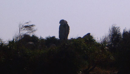 The same rock from a different angle